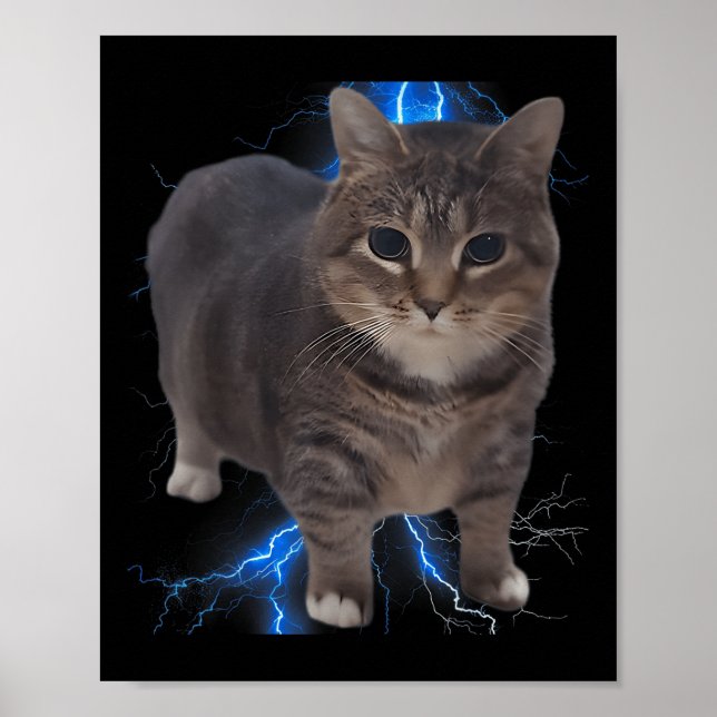 Funny Oiia Oiia Spinning Cat Meme Cat Brainrot Poster (Framsidan)
