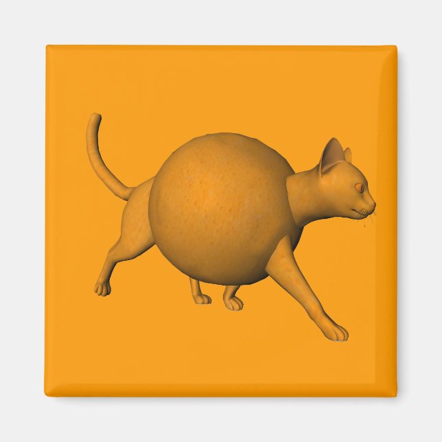 Funny Orange Cat Magnet (Framsidan)