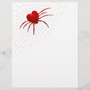 Funny Orb-Weaver Spider