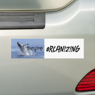 Funny ORCANIZING Orca Killer Whale Meme Joke Bildekal