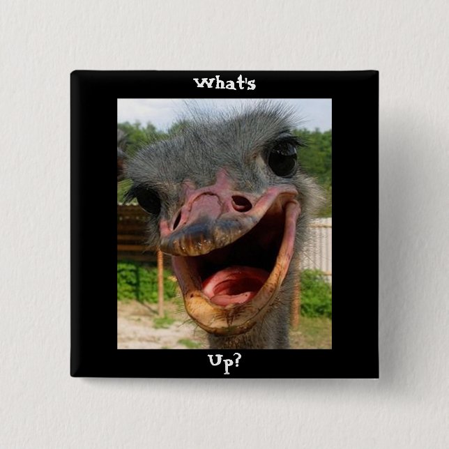 Funny Ostrich Bird Photo What's Up Knapp (Framsida)