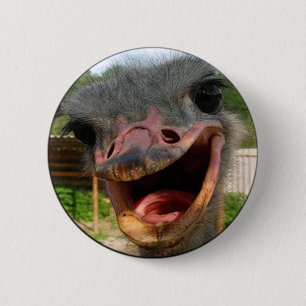 Funny Ostrich Bird Photo What's Up Knapp