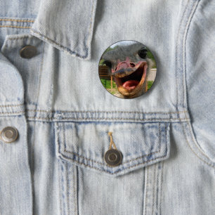 Funny Ostrich Bird Photo What's Up Knapp