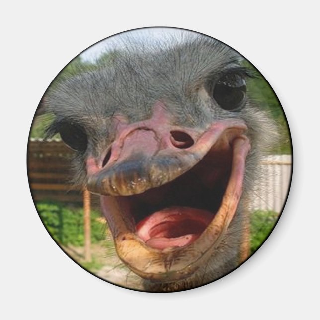 Funny Ostrich Bird Photo What's Up Magnet (Framsidan)