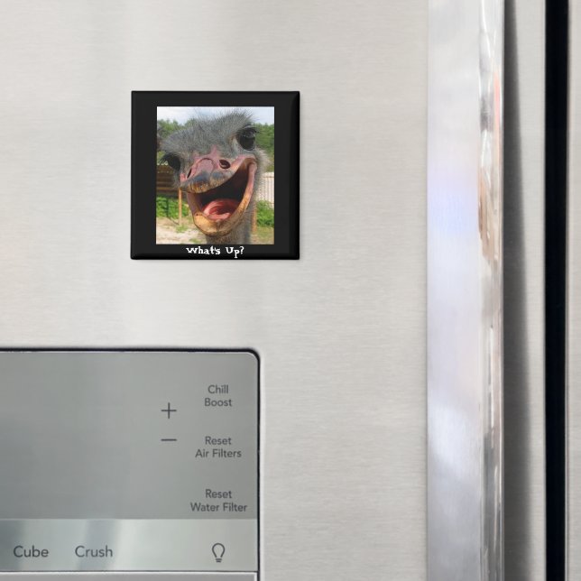Funny Ostrich Bird Photo What's Up Magnet (In Situ (Fridge))
