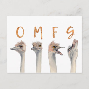 Funny Ostrich Birds OMFG Vykort