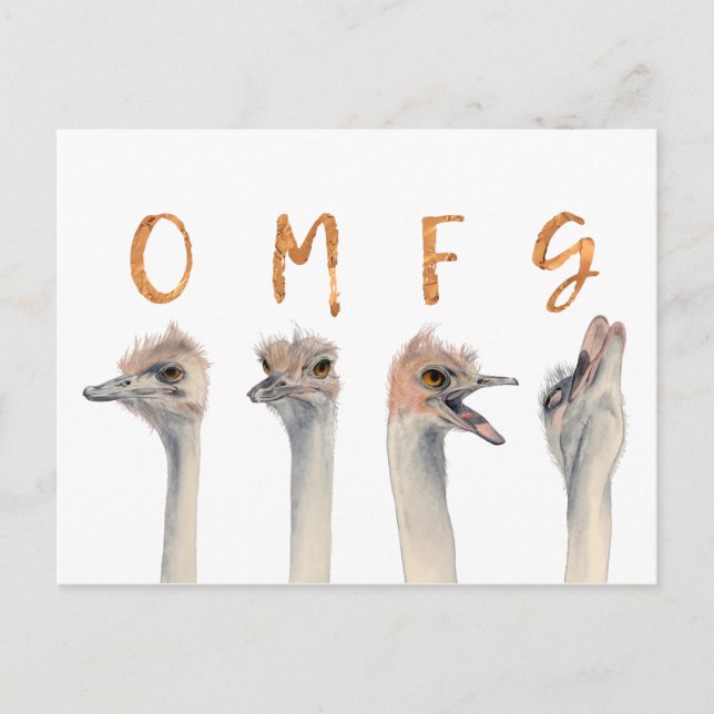 Funny Ostrich Birds OMFG Vykort (Framsida)
