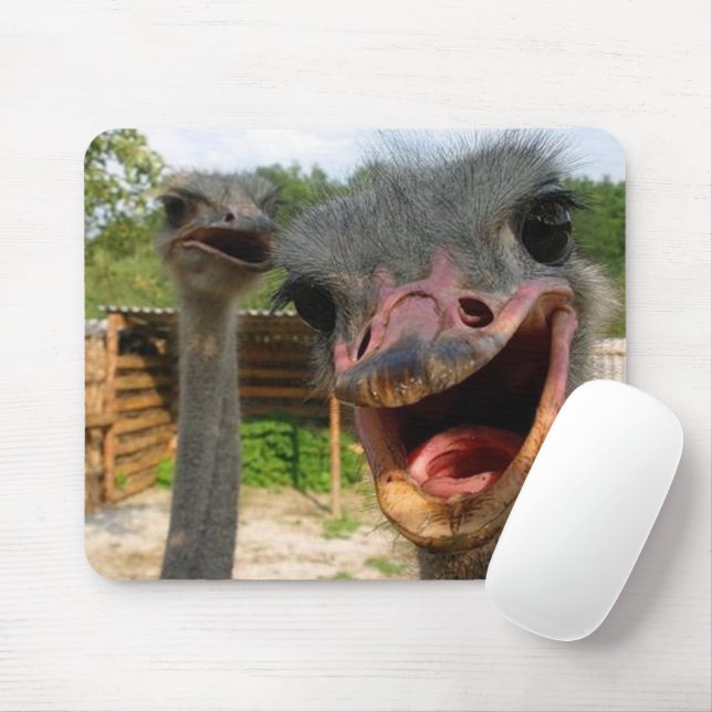 Funny Ostrich Couple Musmatta (Med mus)