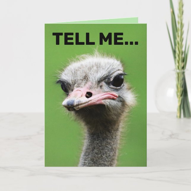 FUNNY OSTRICH FÖDELSEDAGSKORT KORT (Framsida)