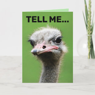 FUNNY OSTRICH FÖDELSEDAGSKORT KORT