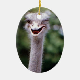 Funny Ostrich Julgransprydnad Keramik