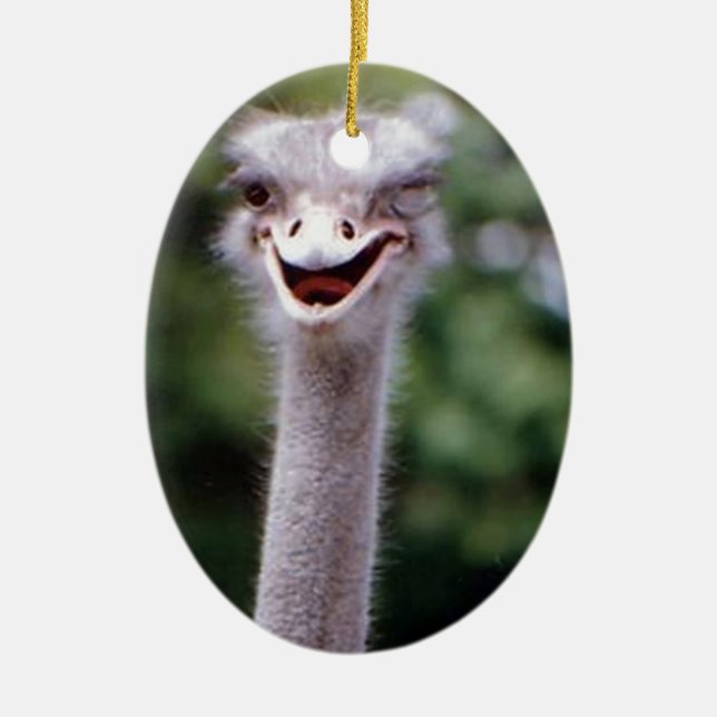 Funny Ostrich Julgransprydnad Keramik (Framsidan)
