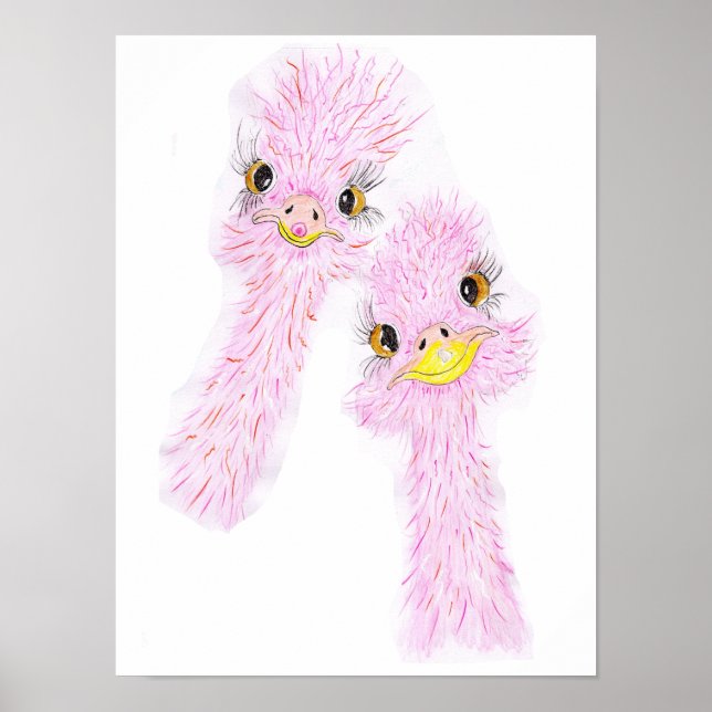Funny Ostriches Poster  (Framsidan)
