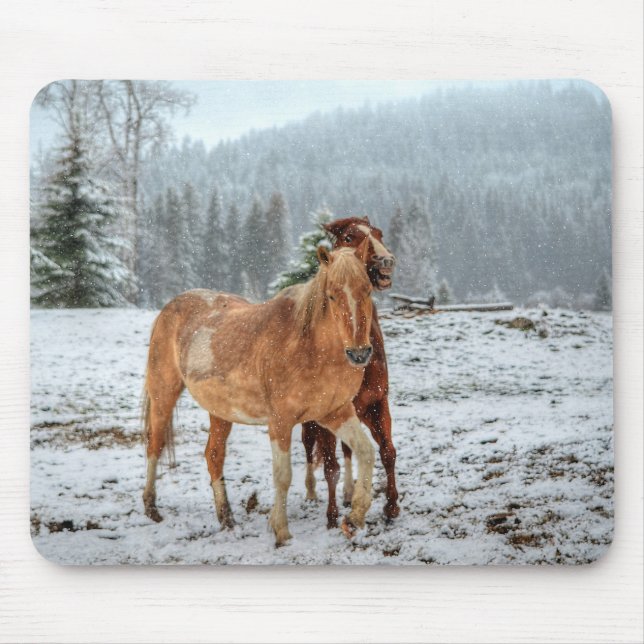 Funny Palomino & Red Dun Ranch Horses i Snö Musmatta (Framsidan)