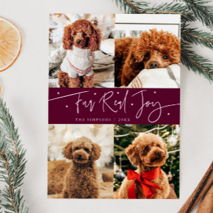 Funny Päls Real Joy Hund Photo Cranberry jul Julkort