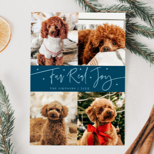 Funny Päls Real Joy Hund Photo Teal jul Julkort