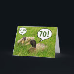 Funny Pappa 70:e födelsedag Anpassningsbar Kort<br><div class="desc">Cute Card för Pappa med två anka som talar om sin ålder. Ange rätt år i texten fält. Anpassa med ditt eget speciella budskap och ha roligt. Tack så mycket för tittar!</div>
