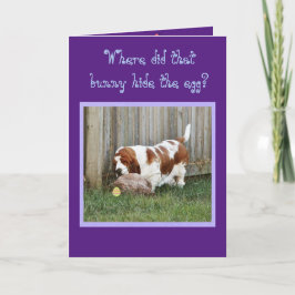 Funny Påsk-kort med basset Hound, Bunny och Ägg Helgkort