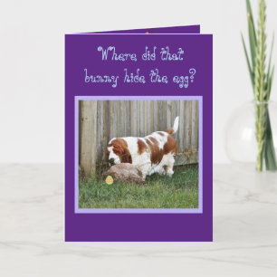Funny Påsk-kort med basset Hound, Bunny och Ägg Helgkort