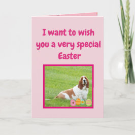 Funny Påsk-kort med Basset Hound i "Bunny Kostym" Helgkort