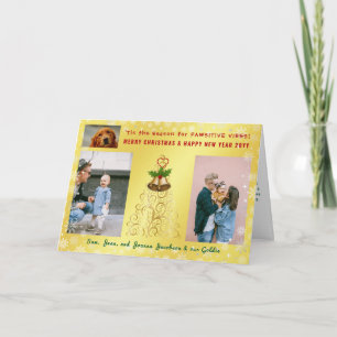 Funny Pawsitive Hund Cat 3 Photos Elegant Golden Kort