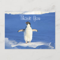 Funny Penguin Tack