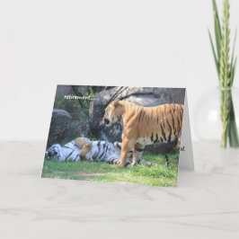Funny Pension Card, sovande tiger Kort