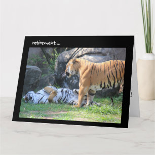 Funny Pension Card, sovande tiger Kort