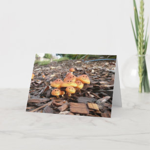 FUNNY PENSION-KORT KORT