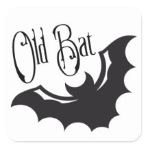 Funny Pension Old Fladdermus