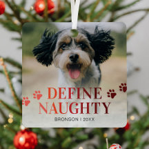 Funny Pet Define Naughty jul