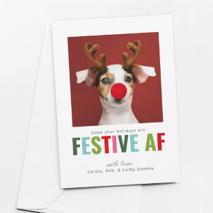 Funny Pet Hund Cat Photo jul Card Festive AF Julkort