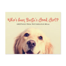 Funny Pet Hund Helgdag | Photo Hälsning