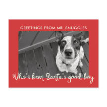 Funny Pet Hund Helgdag | Photo Hälsning