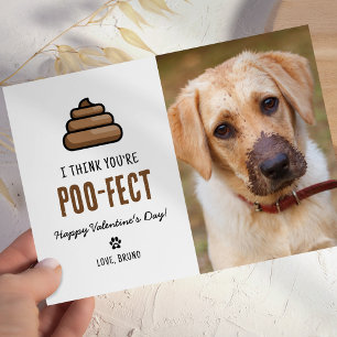 Funny Pet Hund Valentines day Kort