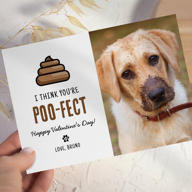 Funny Pet Hund Valentines day Kort (Skapare uppladdad)