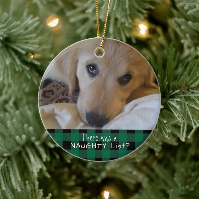 Funny Pet NAUGHTY ELLER NICE Grönt Buffalo Play Julgransprydnad Keramik (Träd)