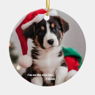 Funny Pet Nice List Red Julgransprydnad Keramik