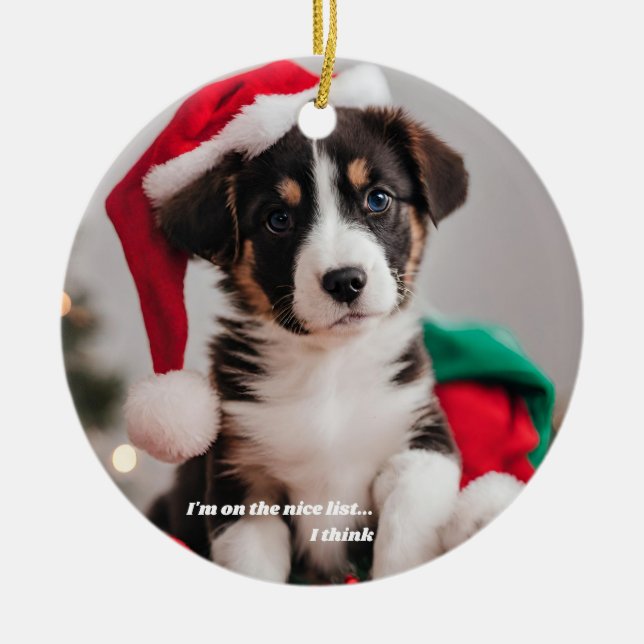 Funny Pet Nice List Red Julgransprydnad Keramik (Framsidan)