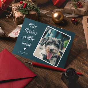 Funny Pet Photo God jul Julkort