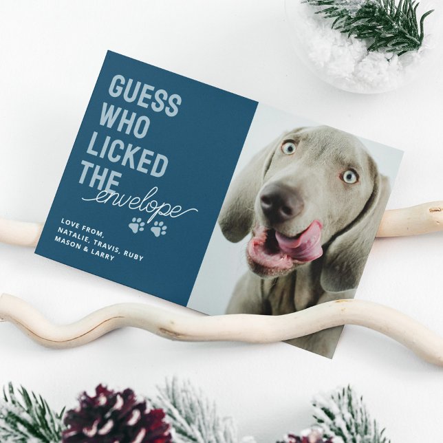 Funny Pet Photo Slickat kuvert Julkort (Skapare uppladdad)