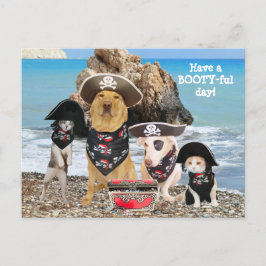 Funny Pet Pirat Day-vykort Vykort