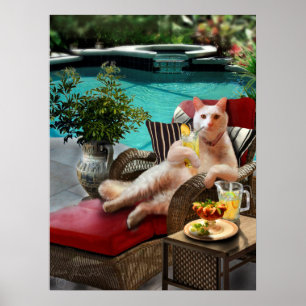 Funny Pet Poster Cat Luxury Vacation