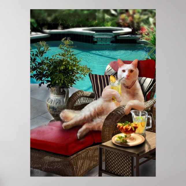 Funny Pet Poster Cat Luxury Vacation (Framsidan)