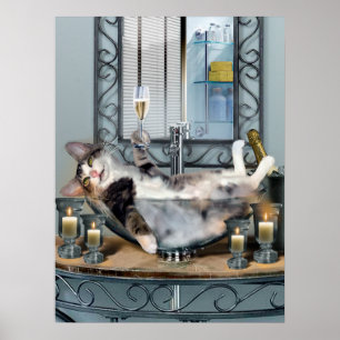 Funny Pet Poster Tipsy Kattunge