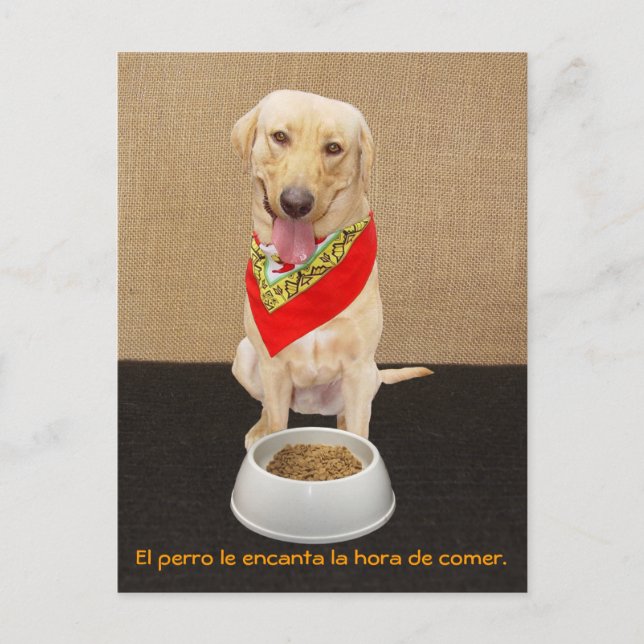 Funny Pet Spain Postcard & Teaching Aid Vykort (Framsida)