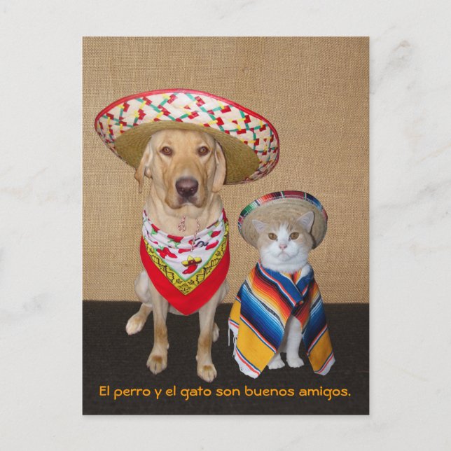 Funny Pet Spain Postcard & Teaching Aid Vykort (Framsida)
