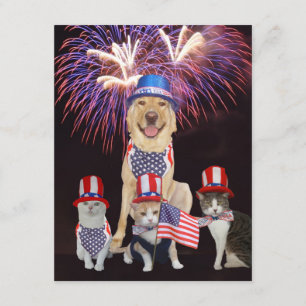 Funny Pets 4:e inbjudan i juli