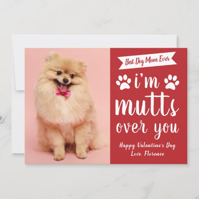 Funny Pets Dog Lover Happy Valentine's Day Julkort (Framsida)