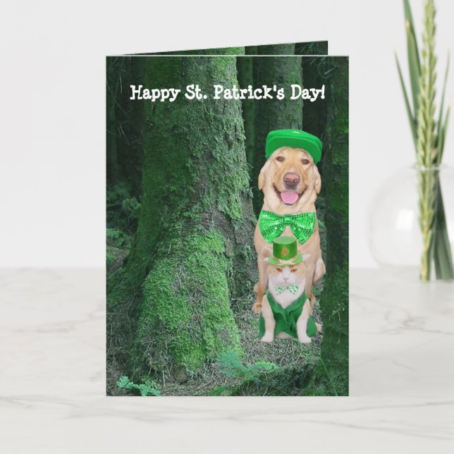 Funny Pets St. Patrick Kort (Framsida)